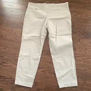 Alfani 18S Dress Pants